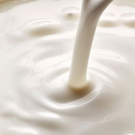 Productos alimenticios